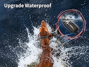 PawControl Trainer